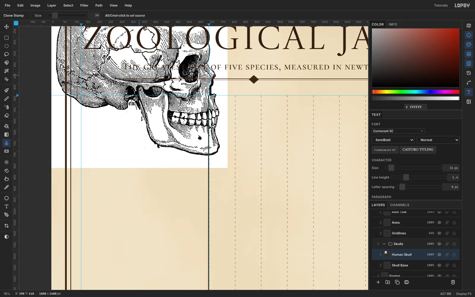 The human skull engraving with every label removed; the Clone Stamp has replaced the letters inside the hatching with matching hatch lines