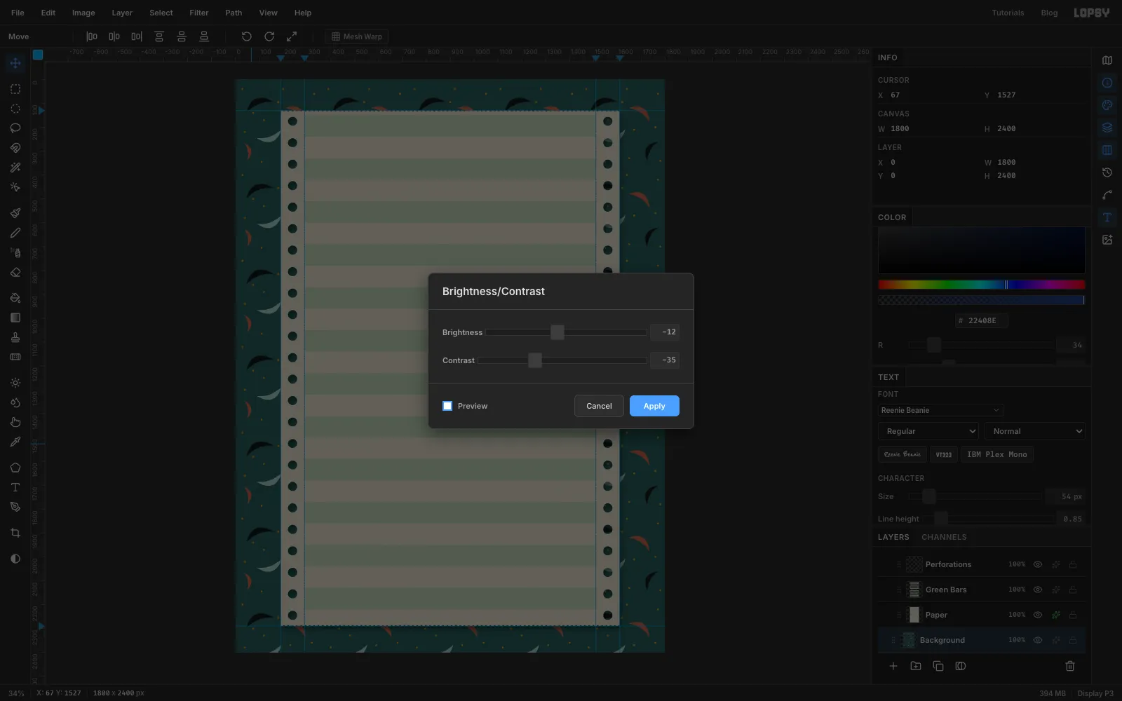 The Brightness/Contrast dialog over the canvas, with Brightness at minus 12 and Contrast at minus 35