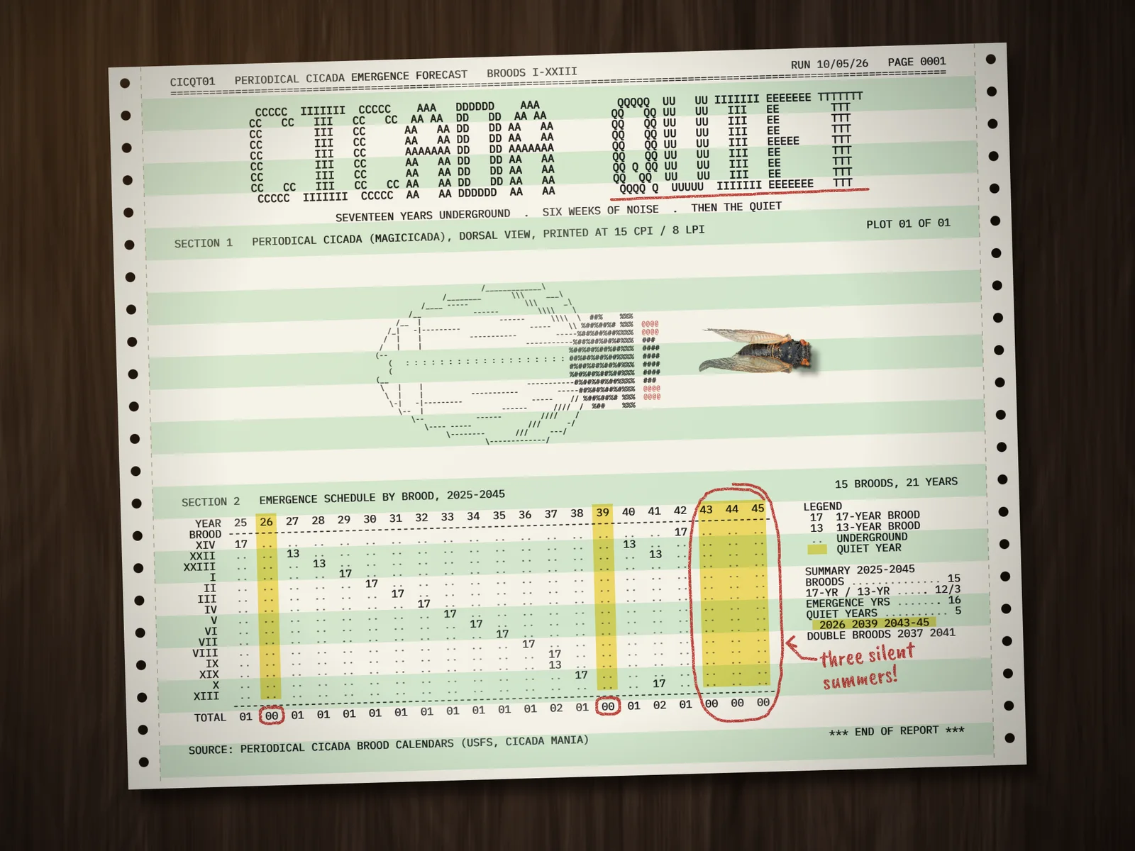 The finished Cicada Quiet piece. A sheet of fanfold green-bar paper with tractor-feed holes lies slightly tilted on dark wood. At the top, a banner spells CICADA QUIET in letters made of letters, with "Seventeen years underground. Six weeks of noise. Then the quiet." below and a red pencil line under QUIET. Section 1 is an ASCII drawing of a cicada with folded, veined wings and red eyes, with a small real cicada lying beside it. Section 2 is a chart of 15 broods against the years 2025 to 2045, with each emergence printed as 17 or 13 in a diagonal staircase. The empty years 2026, 2039 and 2043 to 2045 are highlighted in yellow, their 00 totals are circled in red, and a handwritten red note reads "three silent summers!" next to the 2043 to 2045 block.