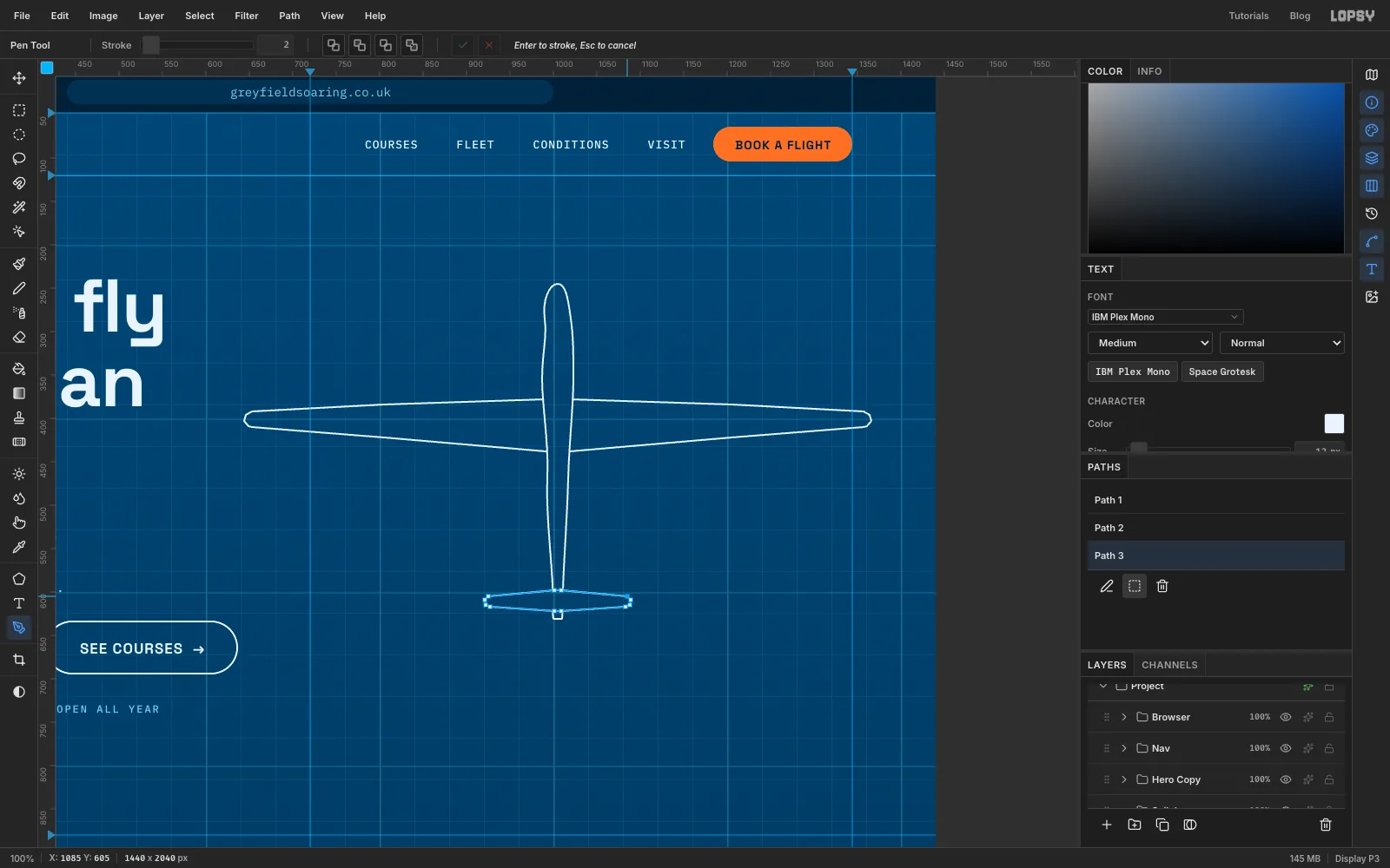 The finished outline: wings, a slim fuselage and a small tailplane across the tail