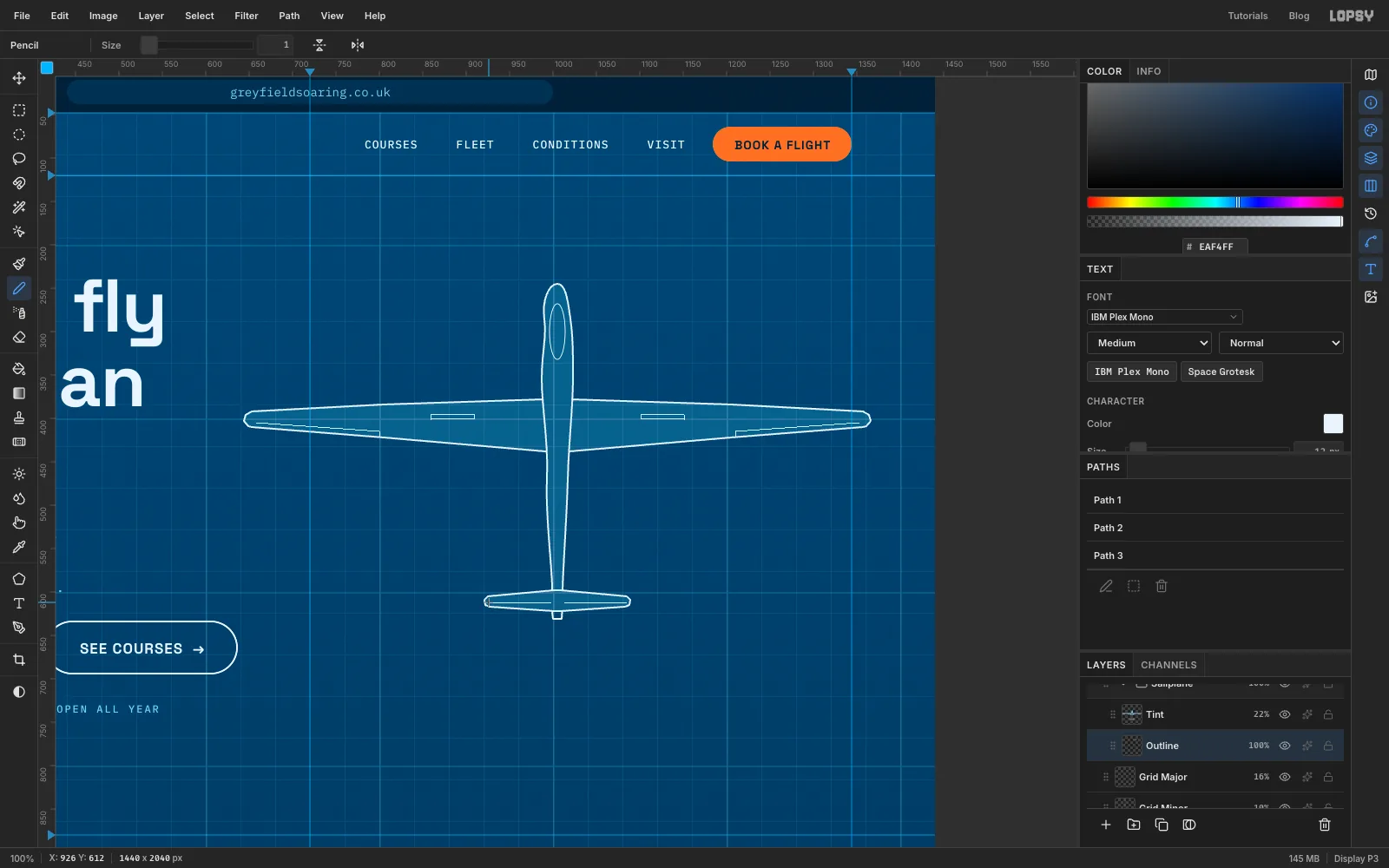 The tinted airframe with a canopy oval, aileron lines and airbrake slots