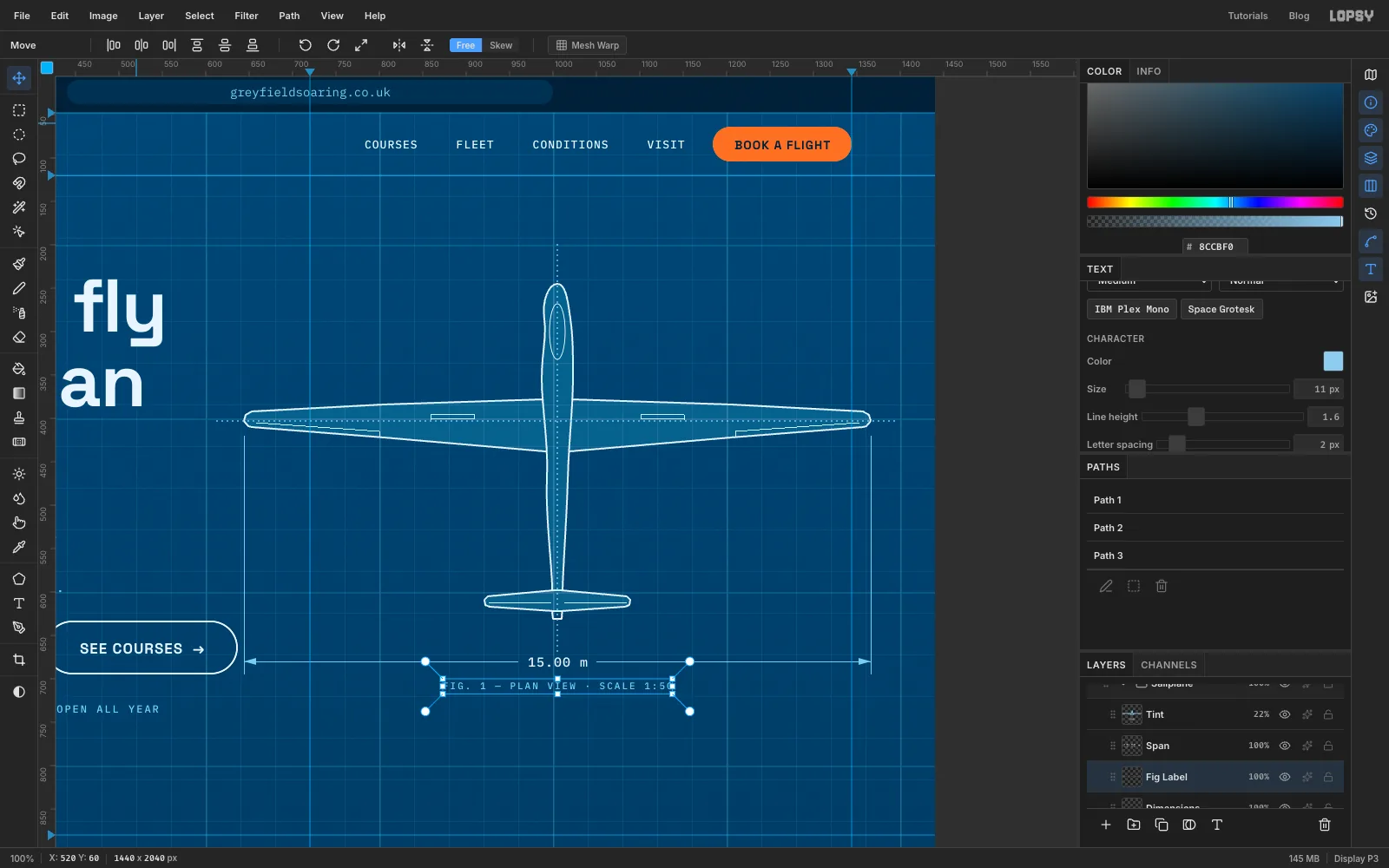 Dotted cyan centrelines through the aircraft and a 15.00 m span dimension under it
