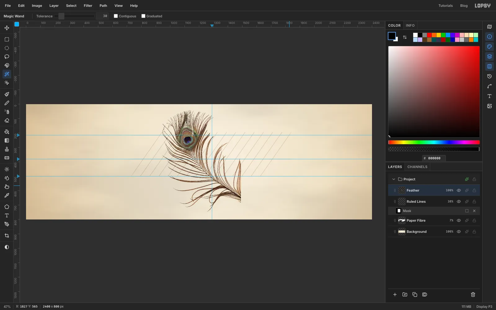The feather cut out cleanly, its barbs richer in colour, sitting on the ivory paper