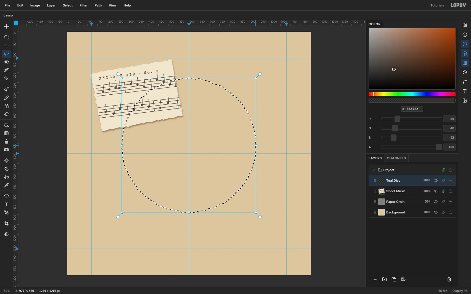 A wobbly circular lasso selection about 660 px across centered on the canvas