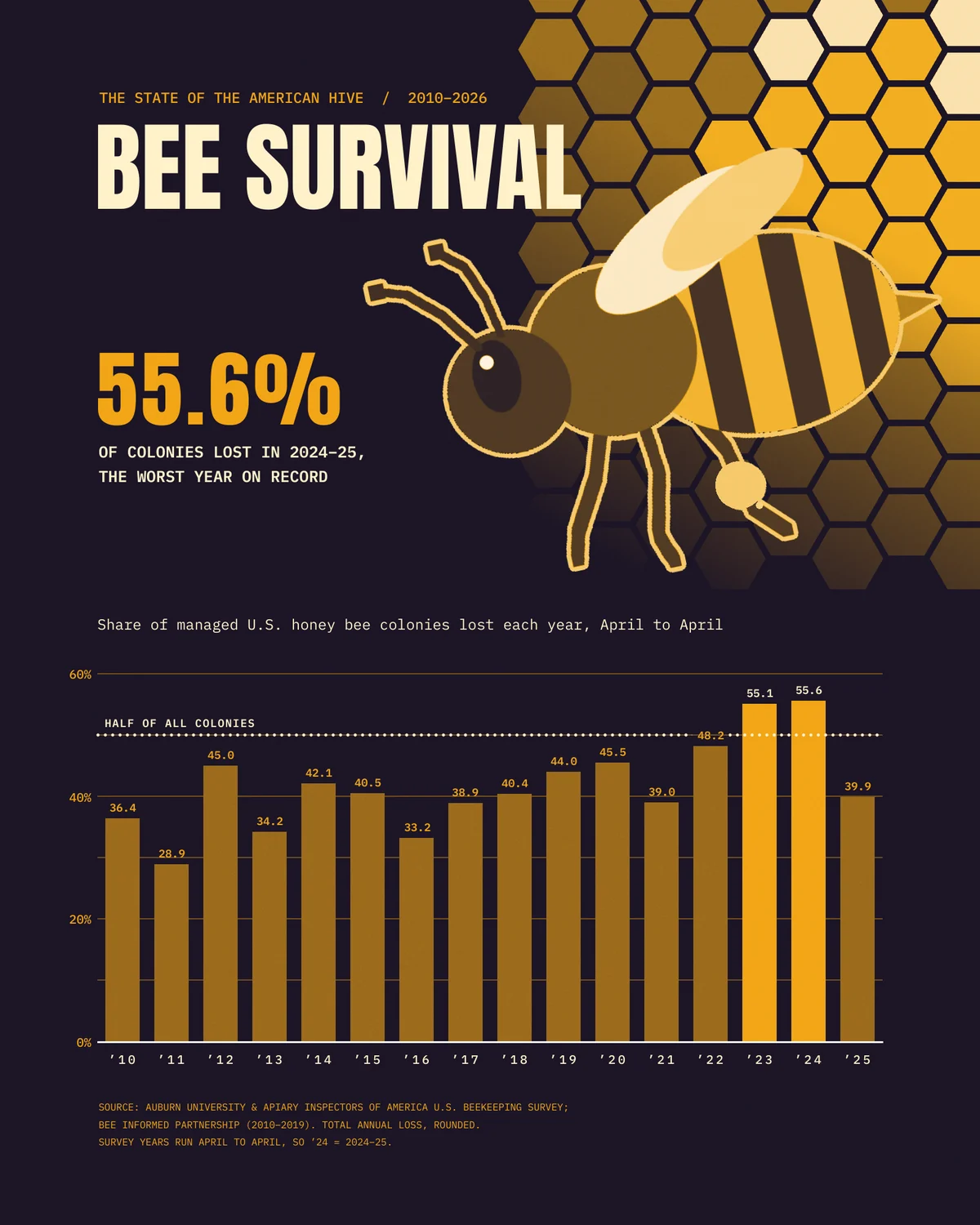 The finished Bee Survival poster in dark ink, honey and cream. The top left has a small honey kicker, THE STATE OF THE AMERICAN HIVE / 2010–2026, over a large cream BEE SURVIVAL headline. Below it is a honey 55.6% with OF COLONIES LOST IN 2024–25, THE WORST YEAR ON RECORD. A flat honey bee with cream wings and outline flies left over a honeycomb that glows in the top right and dissolves into the ink. The lower half holds a bar chart of U.S. honey bee colony losses from '10 to '25, with a value over every bar, a dotted HALF OF ALL COLONIES line at 50%, and the '23 and '24 bars at 55.1 and 55.6 in bright honey. A three-line source note sits at the bottom