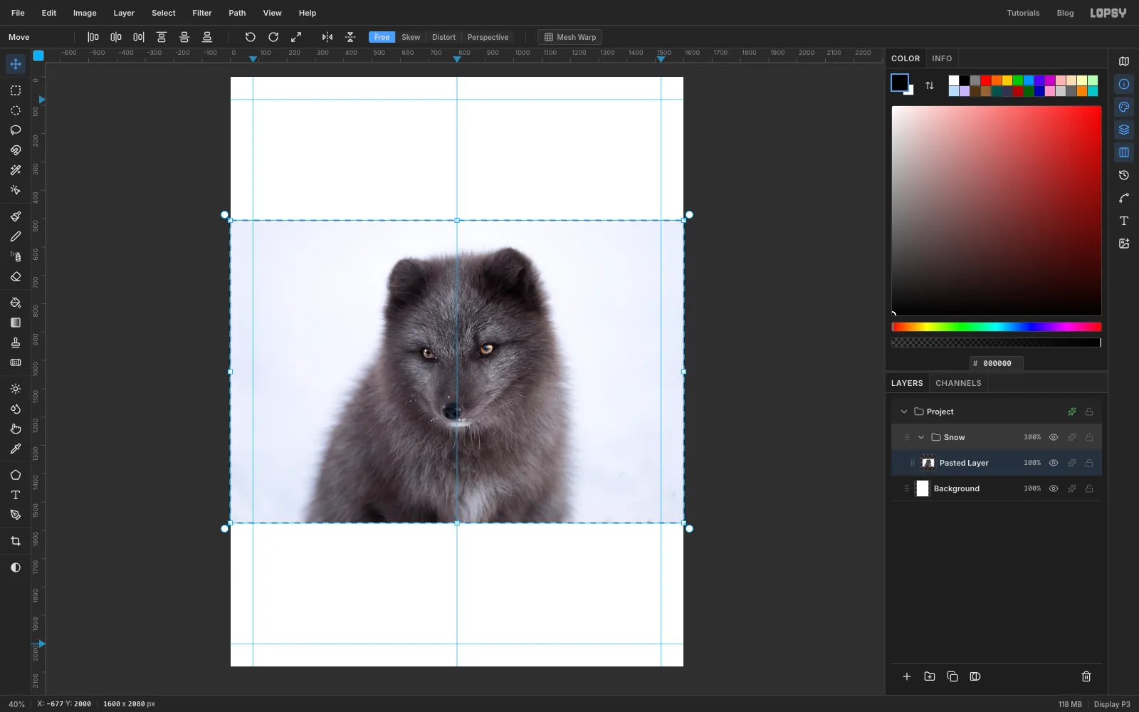 The fox photo pasted into a Snow group, shrunk to fit the width of the canvas with its transform box showing