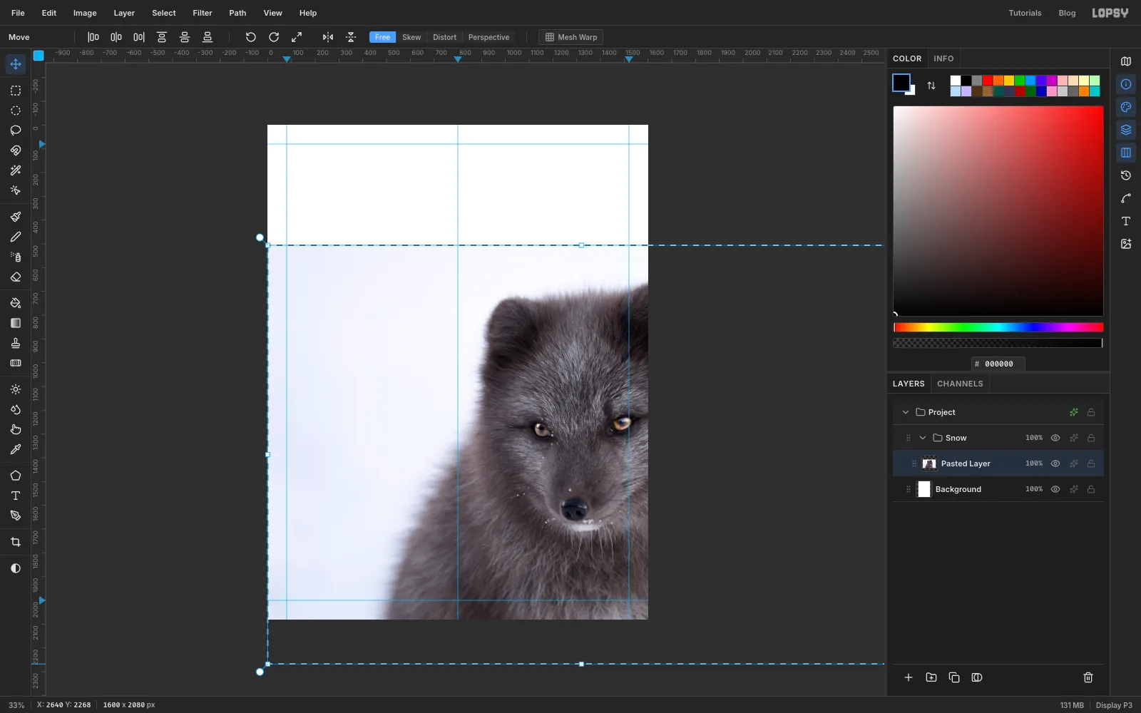 The photo's transform box enlarged past the right edge of the canvas after a Cmd-drag on its bottom-right corner handle