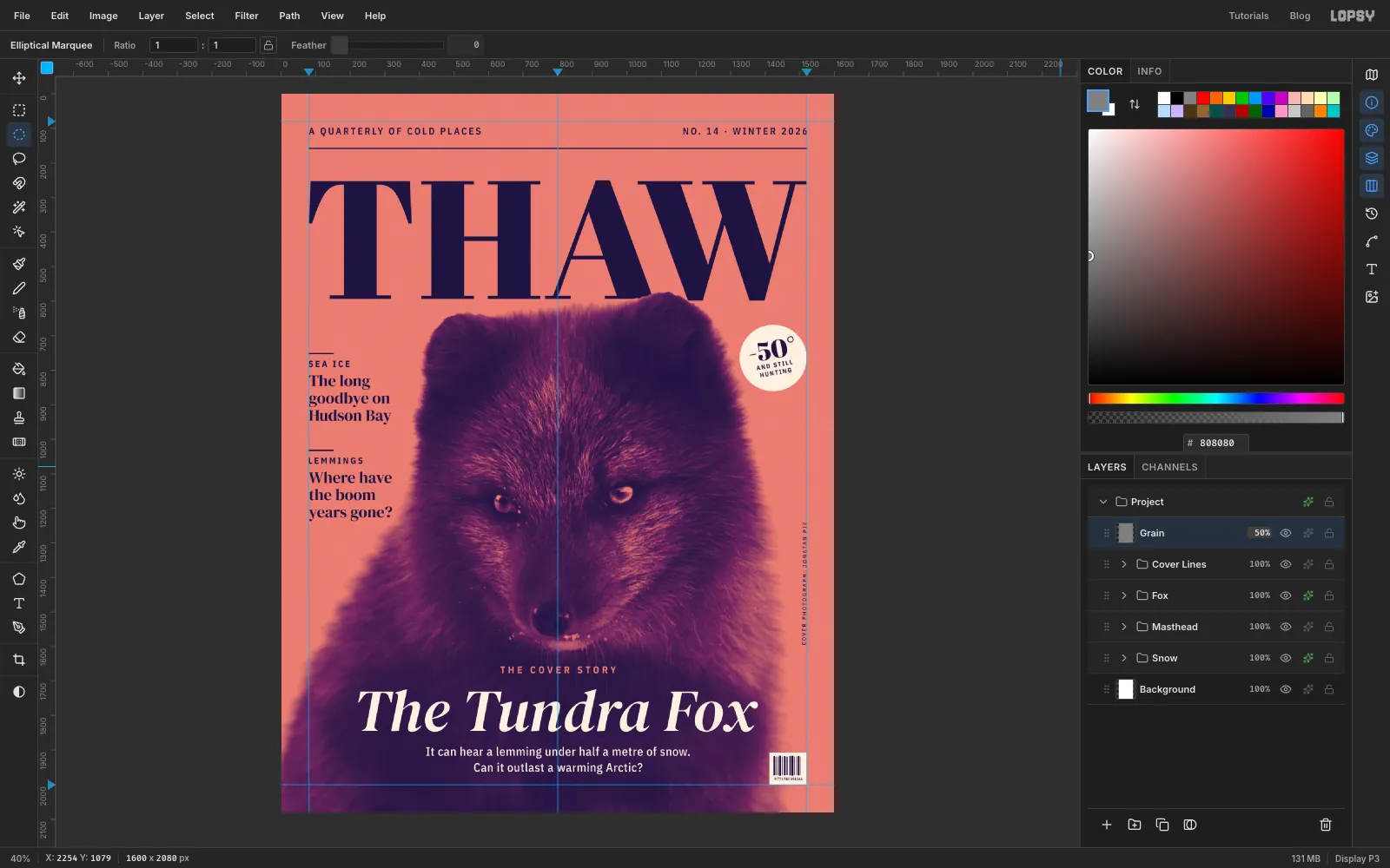 A Grain layer at the top of the Layers panel in Overlay mode at 50%, giving the coral and the fur the same fine texture