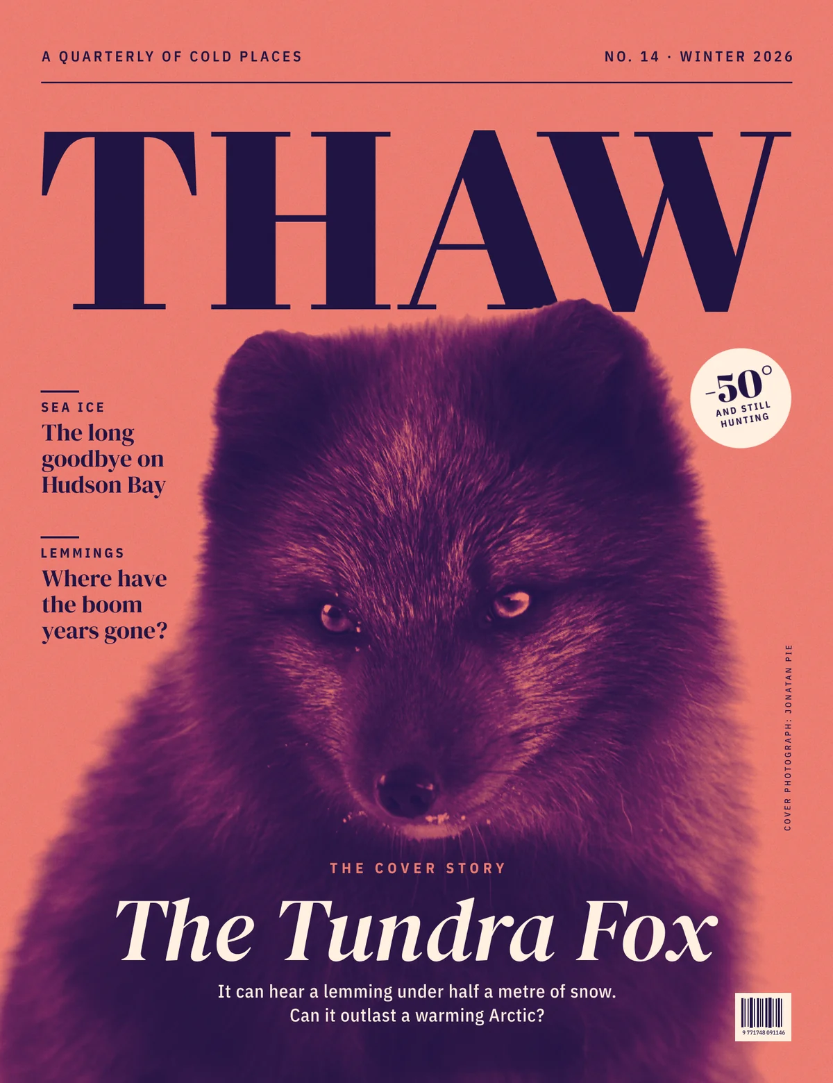 The finished THAW magazine cover. A blue-morph Arctic fox, printed in deep violet and plum, fills the lower two thirds of a flat salmon-coral page and stares straight out. THAW is set huge in a dark violet Didone across the top, with the fox's right ear tucked over the foot of the W. A small strap reads A QUARTERLY OF COLD PLACES and NO. 14 · WINTER 2026 above a thin rule. Two cover lines sit in the left margin, a cream badge tilted on the right reads -50° AND STILL HUNTING, a small photo credit runs up the right margin, and The Tundra Fox runs across the fox's chest in cream italic above a two-line dek, with a small barcode box in the bottom right corner