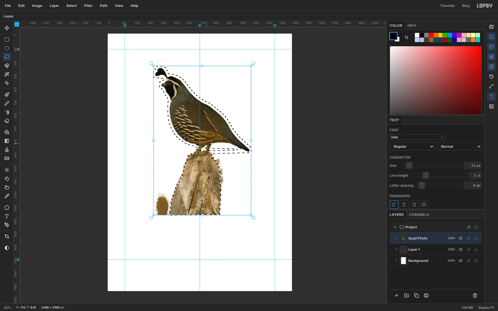 A loose lasso drawn round the bird, its legs and the post, ready to be inverted