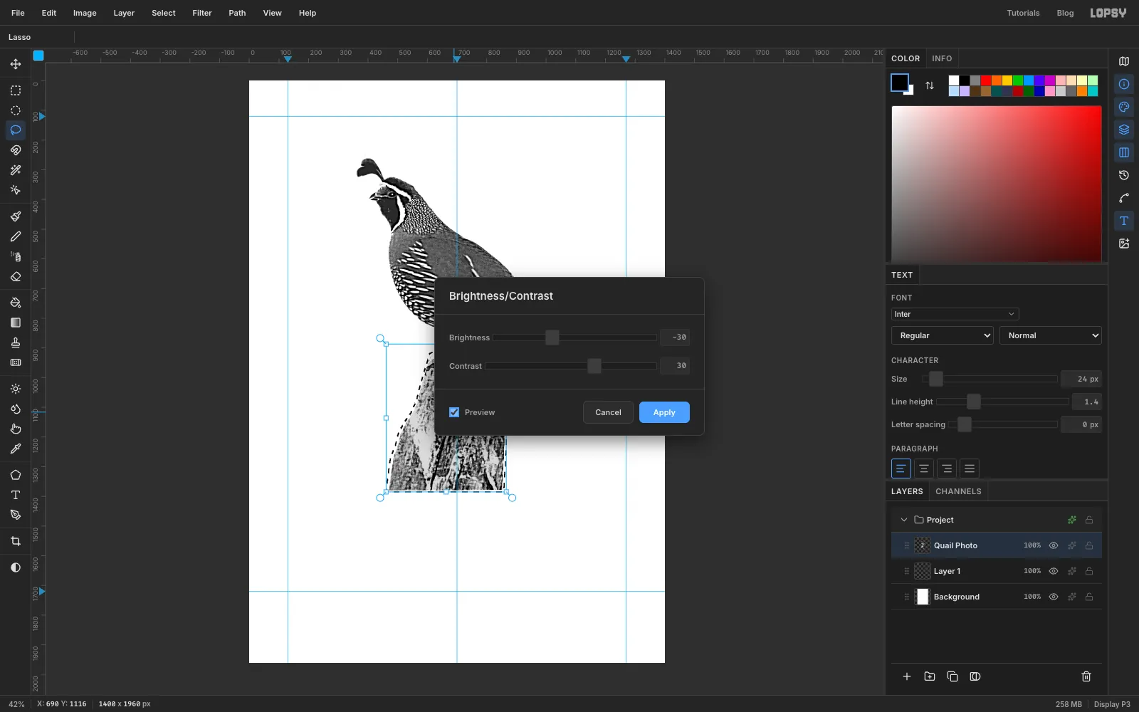 The Brightness/Contrast dialog with Preview on, darkening only the lassoed post
