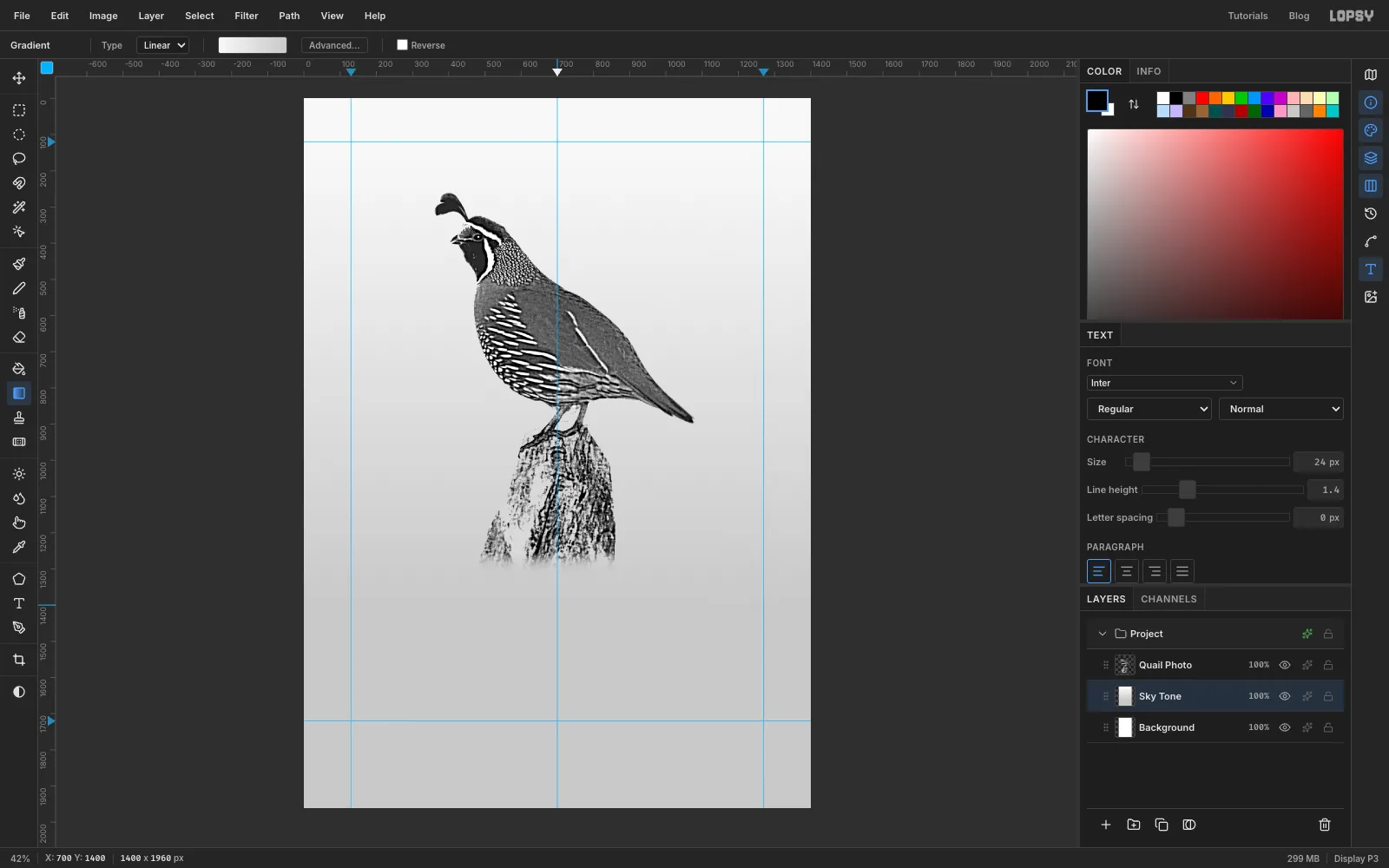 A soft grey gradient behind the bird, light at the top and darker at the bottom of the plate