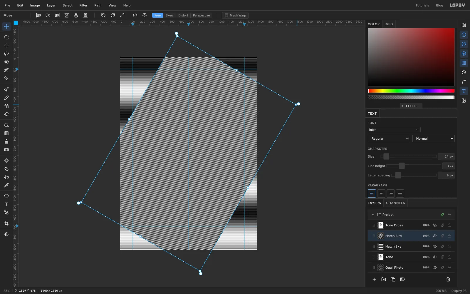 The Hatch Bird layer turned 30 degrees on its transform box with the Move tool