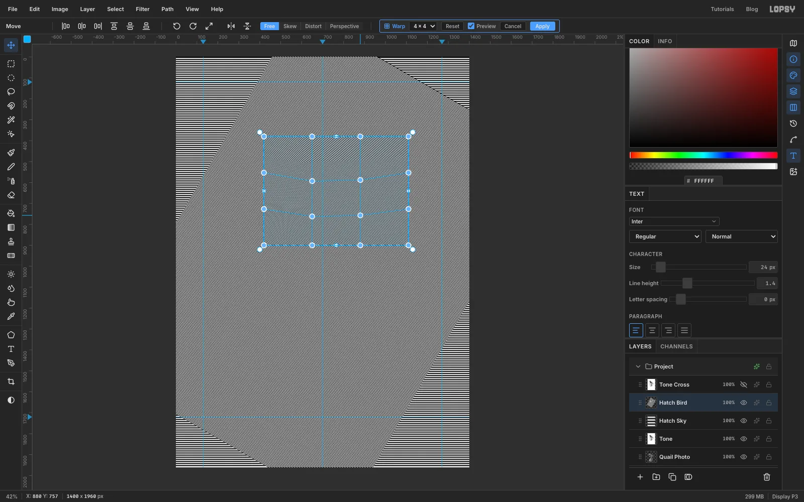 Mesh Warp's four-by-four grid over the bird's body, with the two middle rows of points pulled down so the stripes curve