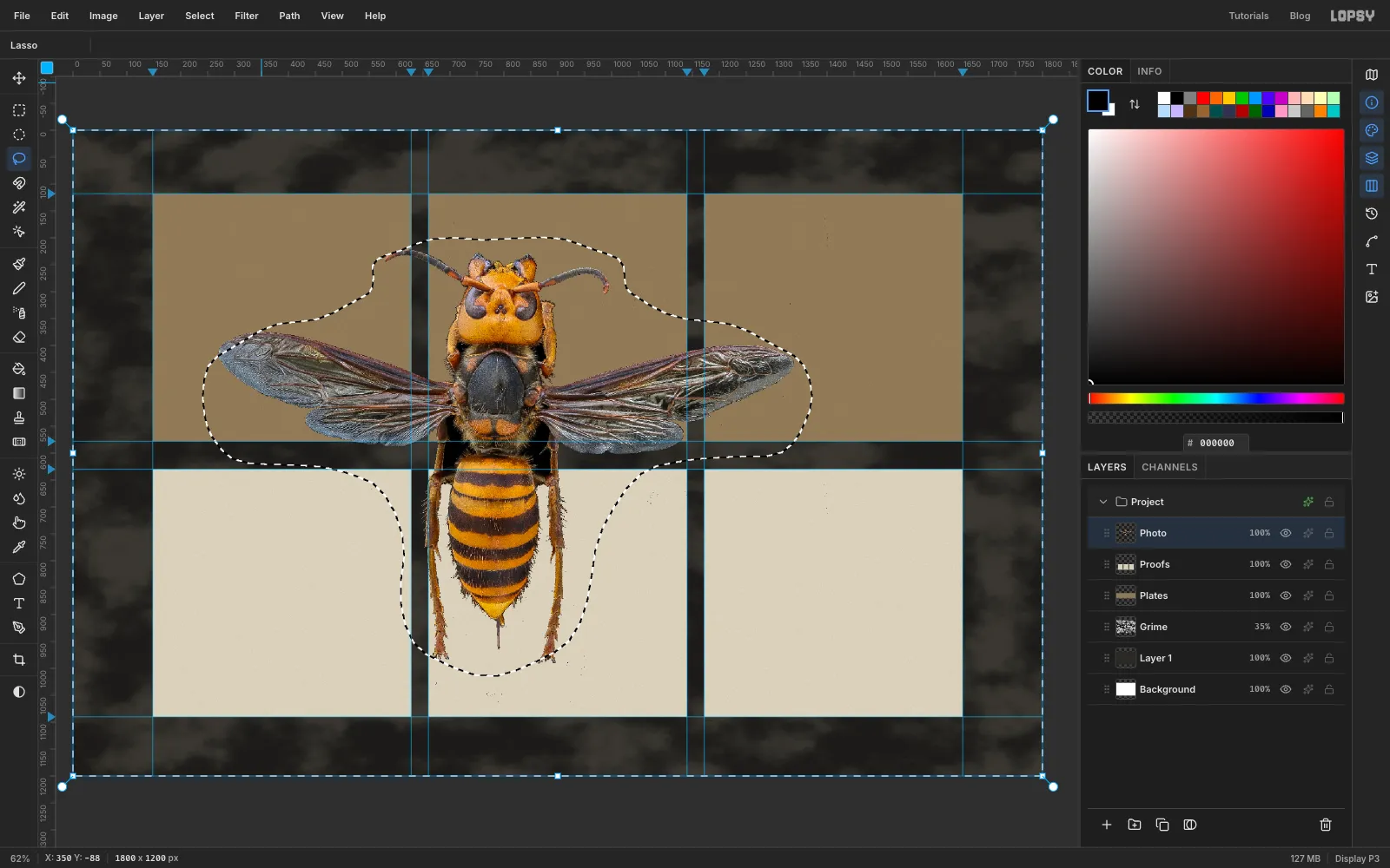 The hornet turned head-up over the cards, with a loose lasso selection around it inverted