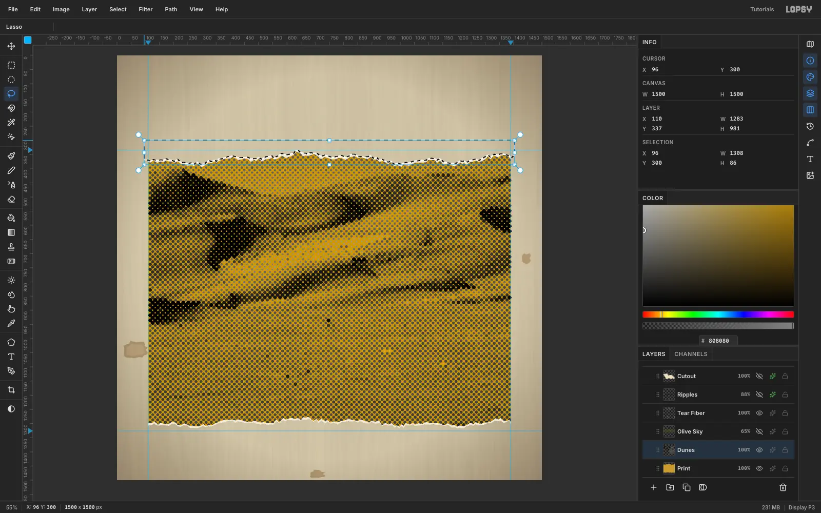 A jagged lasso selection running along the top edge of the halftoned photo, ready to delete a torn strip