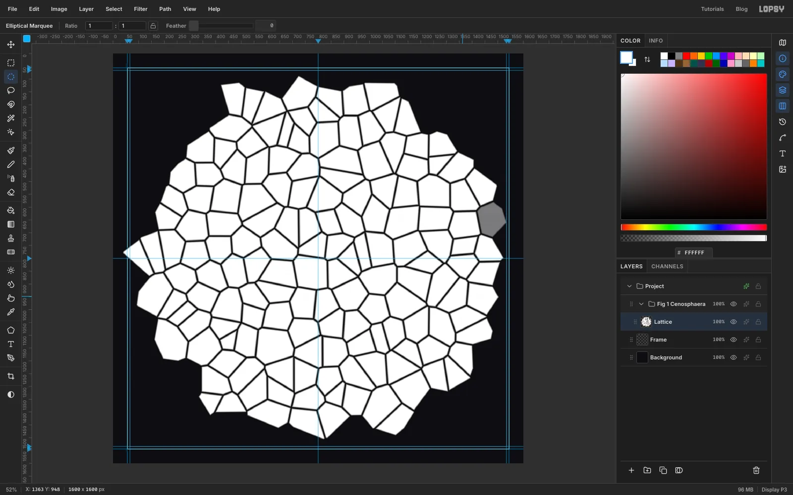 A large white disc broken into irregular cells with dark walls by the Voronoi filter