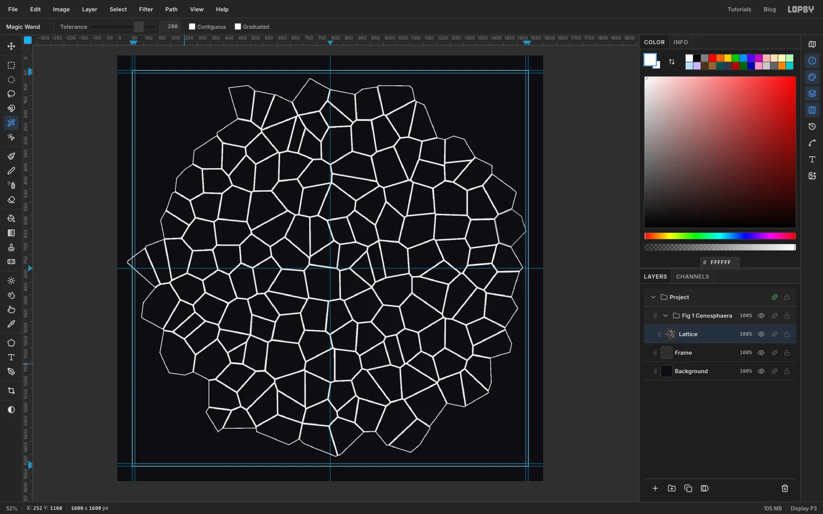 Only a fine white net of cell walls is left on the black plate