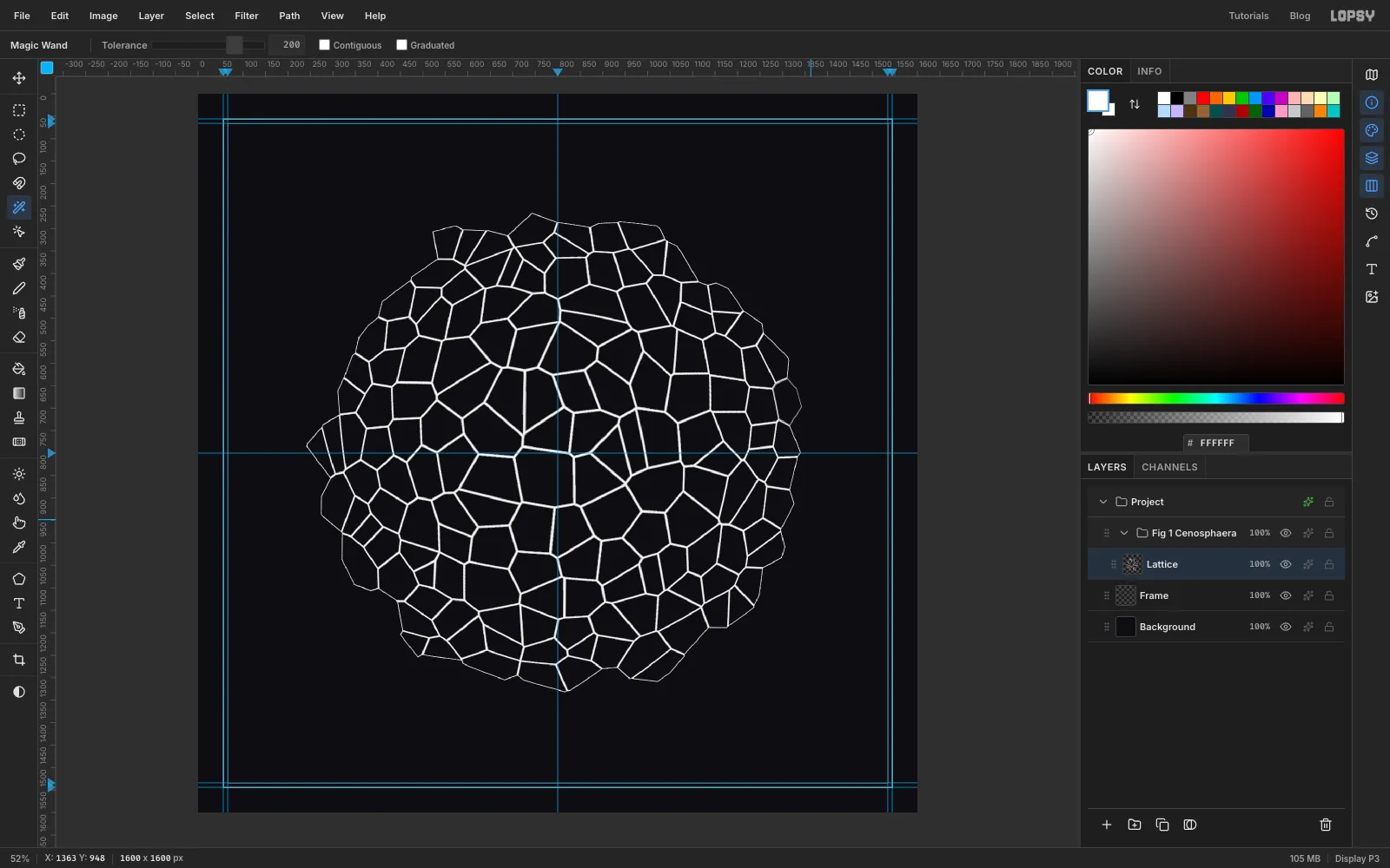 The net after Lens Distortion: cells are large in the middle and crowded together towards the rim, like a globe