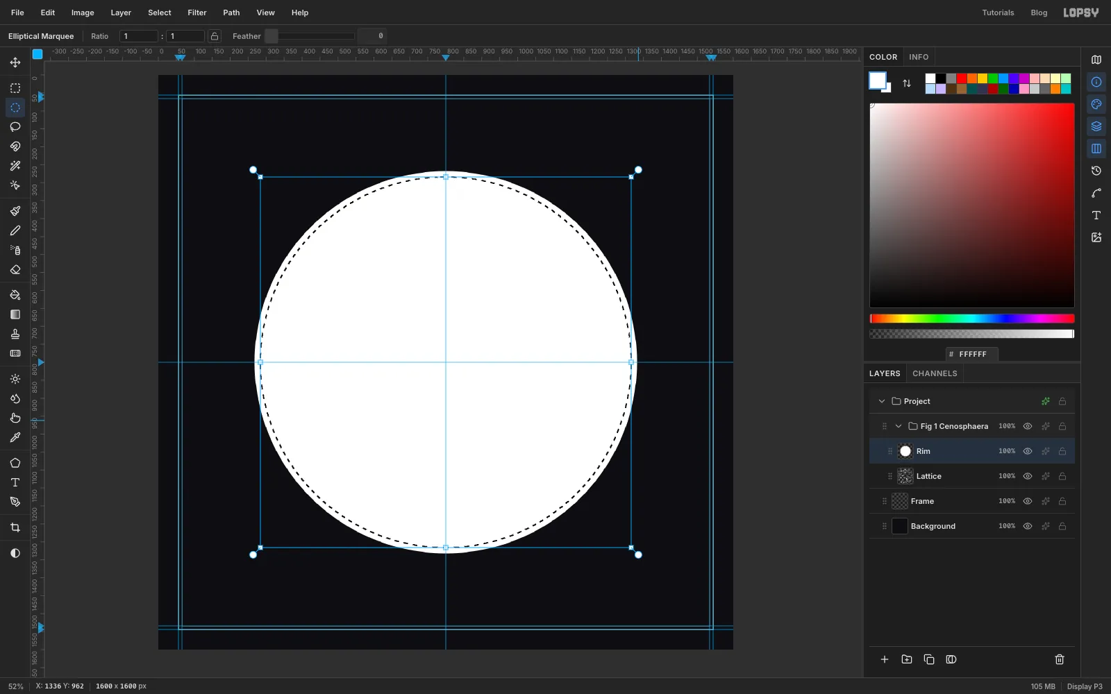 A new layer filled with a white disc that hides the net for a moment, with a slightly smaller circle selected inside it