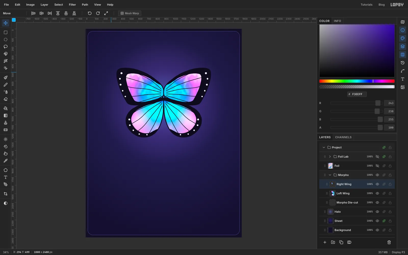 Both pairs of wings: the left wing mirrored exactly to the right of the body