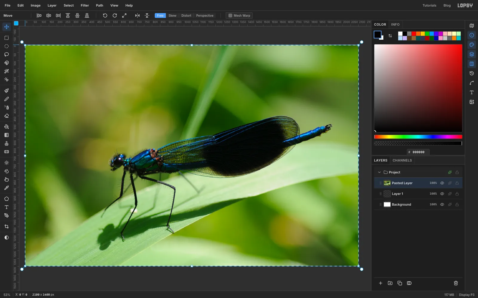 The damselfly photo pasted into a new 2100 by 1400 document, with the selection and transform handles around it