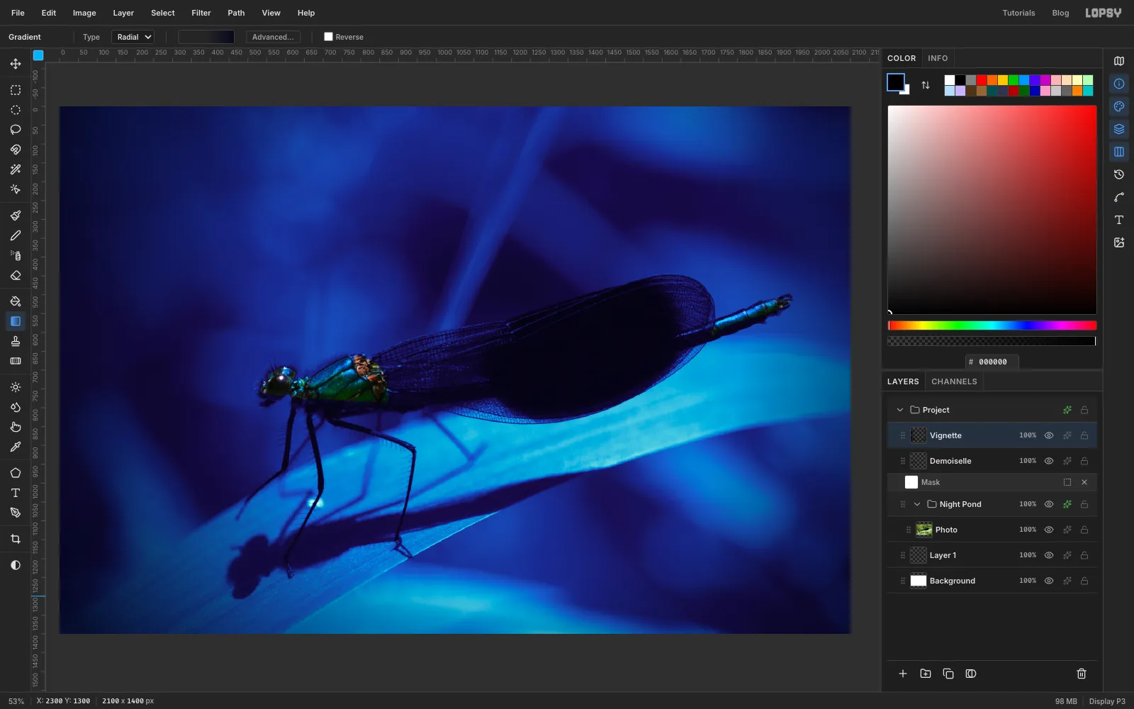 A radial vignette darkening the corners to deep navy around the damselfly