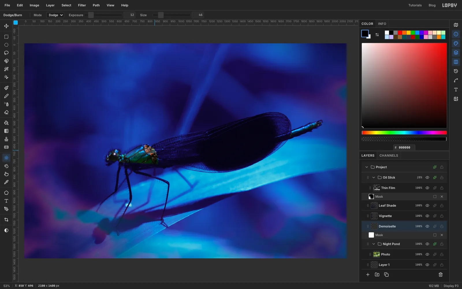 The thorax a touch brighter and more saturated after Dodge and Sponge strokes