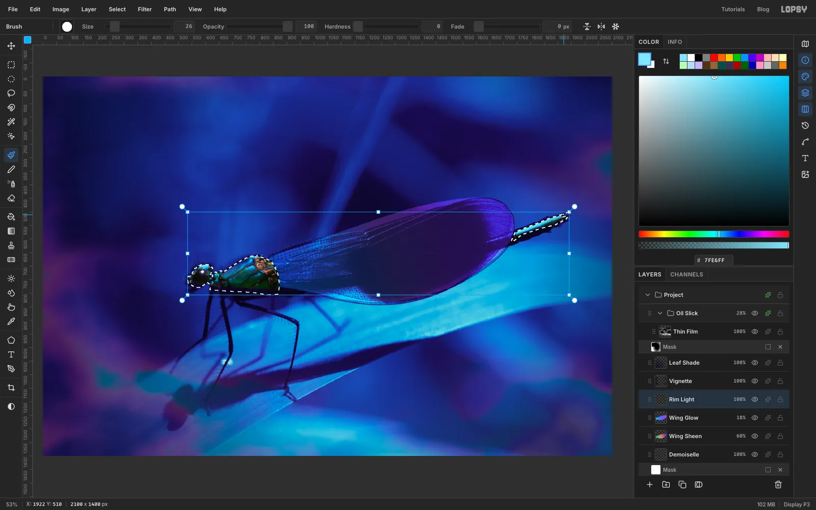 A soft cyan rim light painted along the top of the thorax and tail, confined to the body by its selection