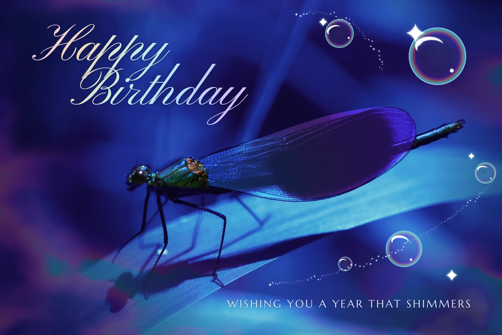 The finished Demoiselle Ultramarine birthday card. A male banded demoiselle damselfly with a metallic green and blue head and thorax perches on a curving cyan leaf in a deep ultramarine night. Its wing has a violet sheen. Faint magenta and teal oil-slick colour drifts in the corners. Five soap bubbles with rainbow rims rise up the right side among four-point sparkles and two trails of glittering dust. Happy Birthday is written in pastel iridescent copperplate script at the top left, and WISHING YOU A YEAR THAT SHIMMERS runs along the bottom right in spaced small capitals