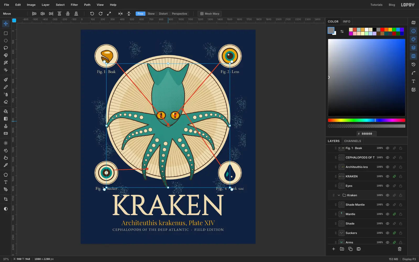 The Layers panel showing a Kraken group that holds the Arms, Suckers, Shade, Mantle and Shade Mantle layers, with the Move tool's handles around the animal