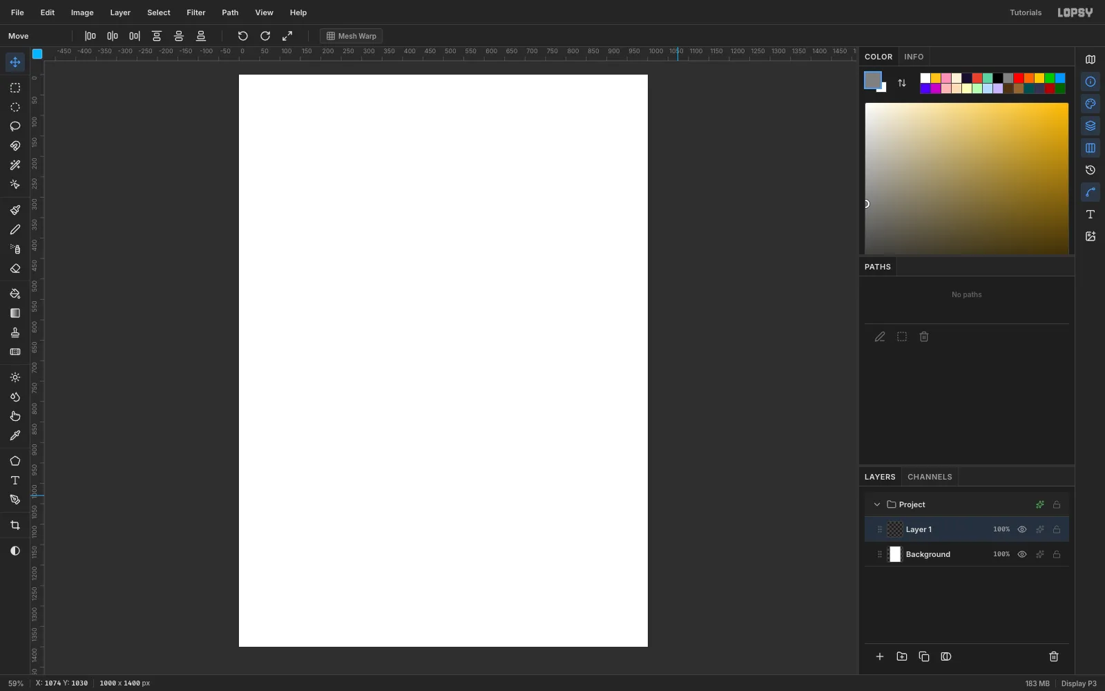 The New Document dialog result: a blank white 1000 by 1400 pixel canvas in Lopsy