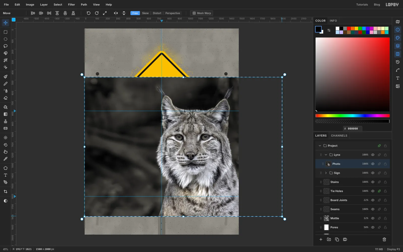 The Move tool's transform box extends past the right edge of the canvas as the photo is scaled up