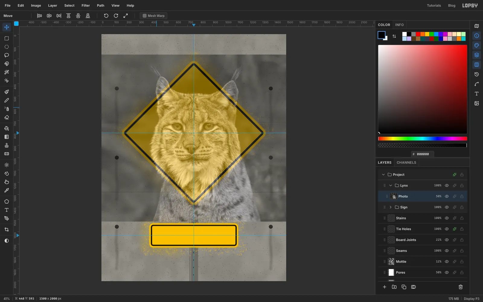 The photo has been moved so the lynx's face sits in the lower half of the diamond