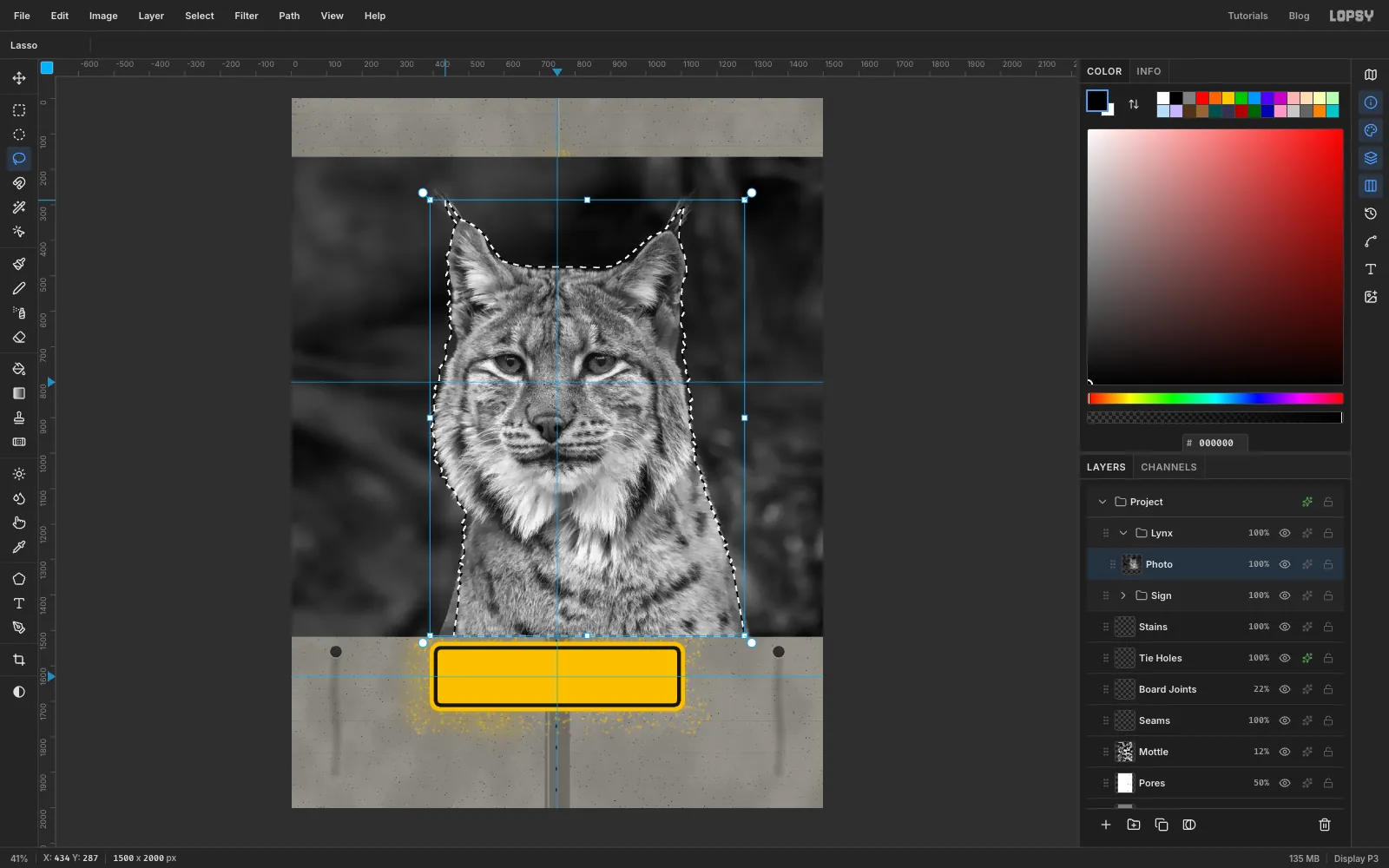 A lasso selection follows the ears, tufts and furry cheeks of the lynx down to the bottom of the photo