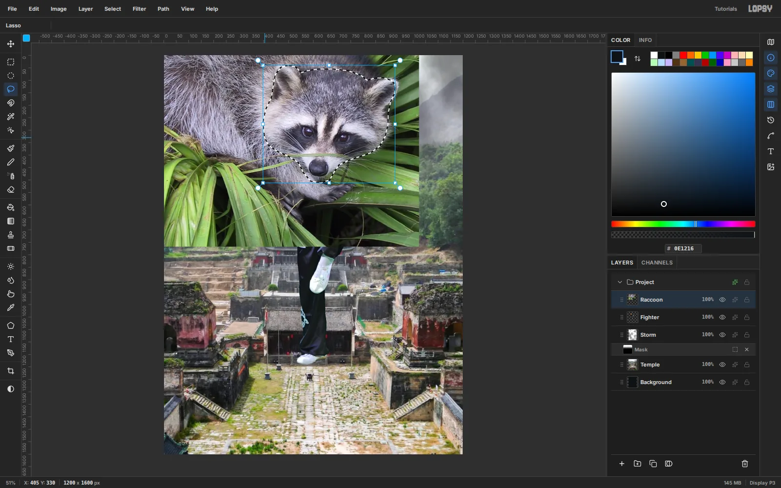 The raccoon photo on its own layer with a lasso around its ears, crown, cheek ruffs and chin
