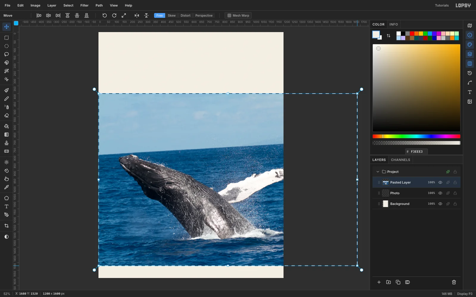 A 1200 by 1600 cream canvas with the whale photo pasted across the middle and its bottom-right transform handle being dragged to enlarge it past the canvas edge