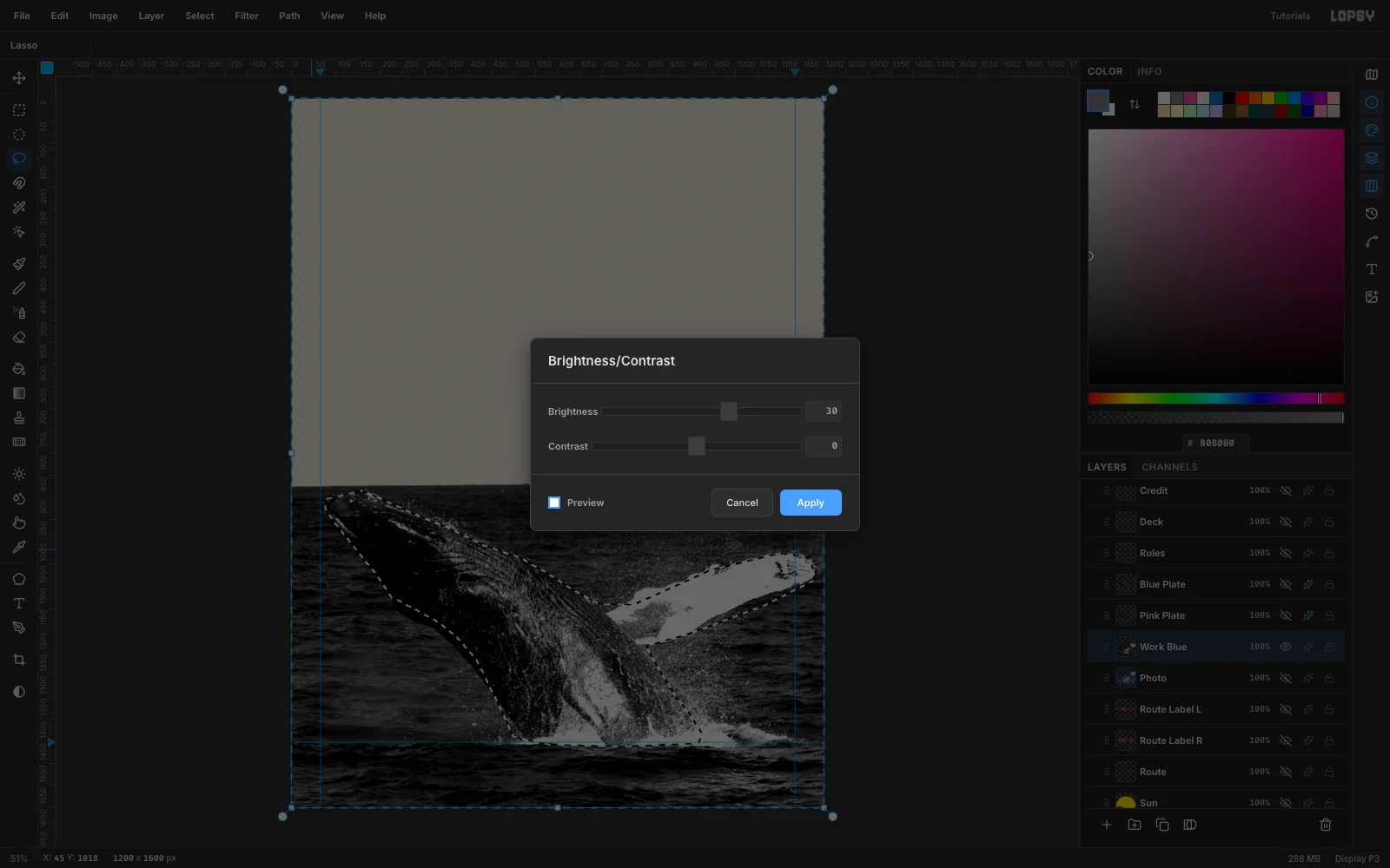 A grayscale copy of the photo with a lasso selection around the whale and its pectoral fin inverted to select the sea, and the Brightness/Contrast dialog open at Brightness 30