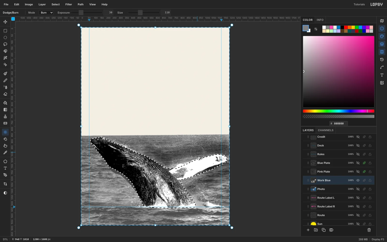 The grayscale plate with the sea still selected, showing darker burned areas of water around the white pectoral fin and along the whale's back