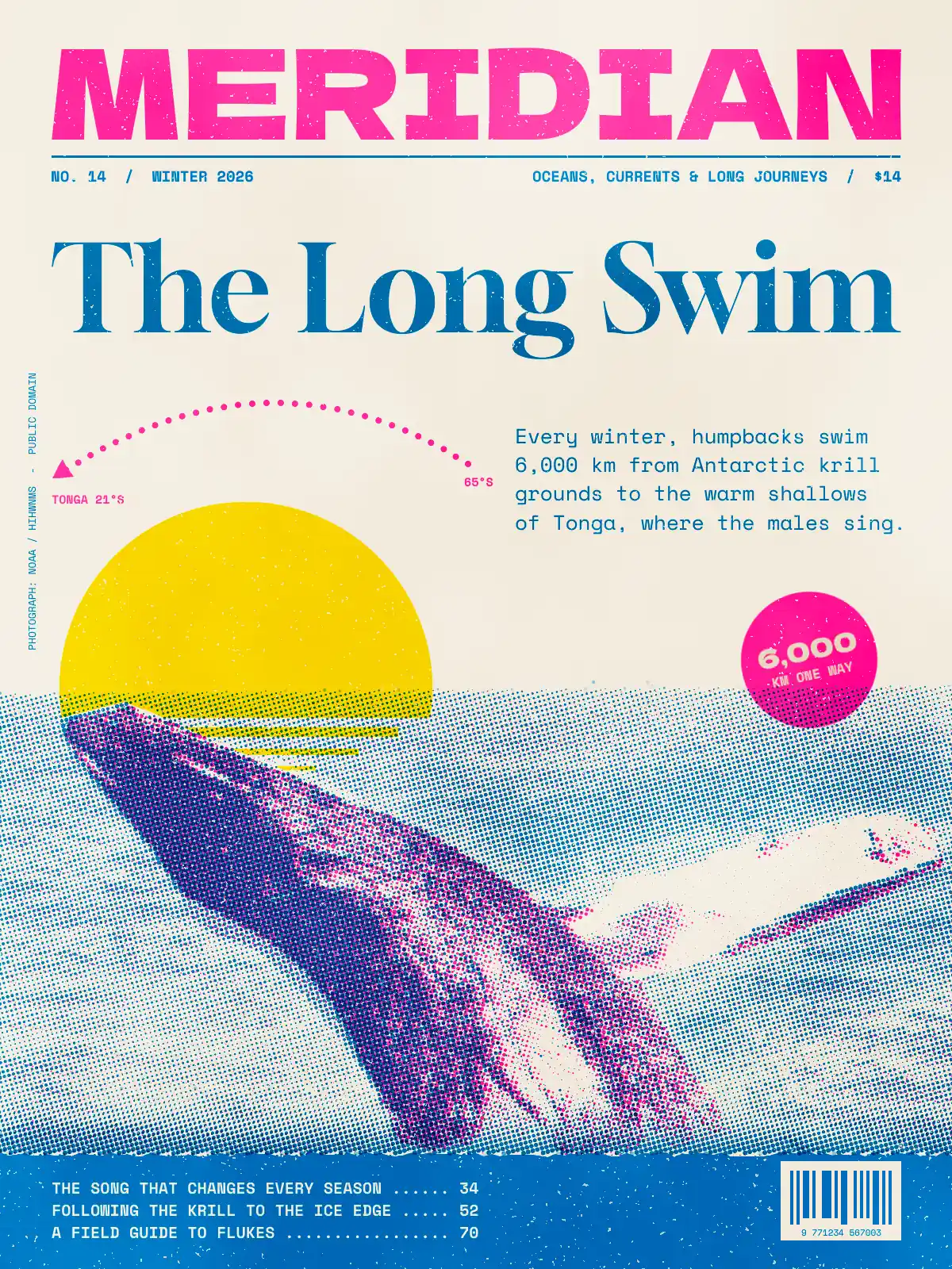 The finished risograph magazine cover on warm off-white paper. MERIDIAN runs across the top in heavy fluorescent pink capitals with a blue dateline beneath. The blue serif headline reads The Long Swim. A dotted pink route arc labelled 65°S to TONGA 21°S curves over a flat yellow sun that sets into a halftone sea. A humpback whale breaches diagonally in overprinted indigo, pink and blue dots with its white pectoral fin raised. A tilted pink sticker reads 6,000 KM ONE WAY, and a solid blue footer band holds three cover lines and a barcode