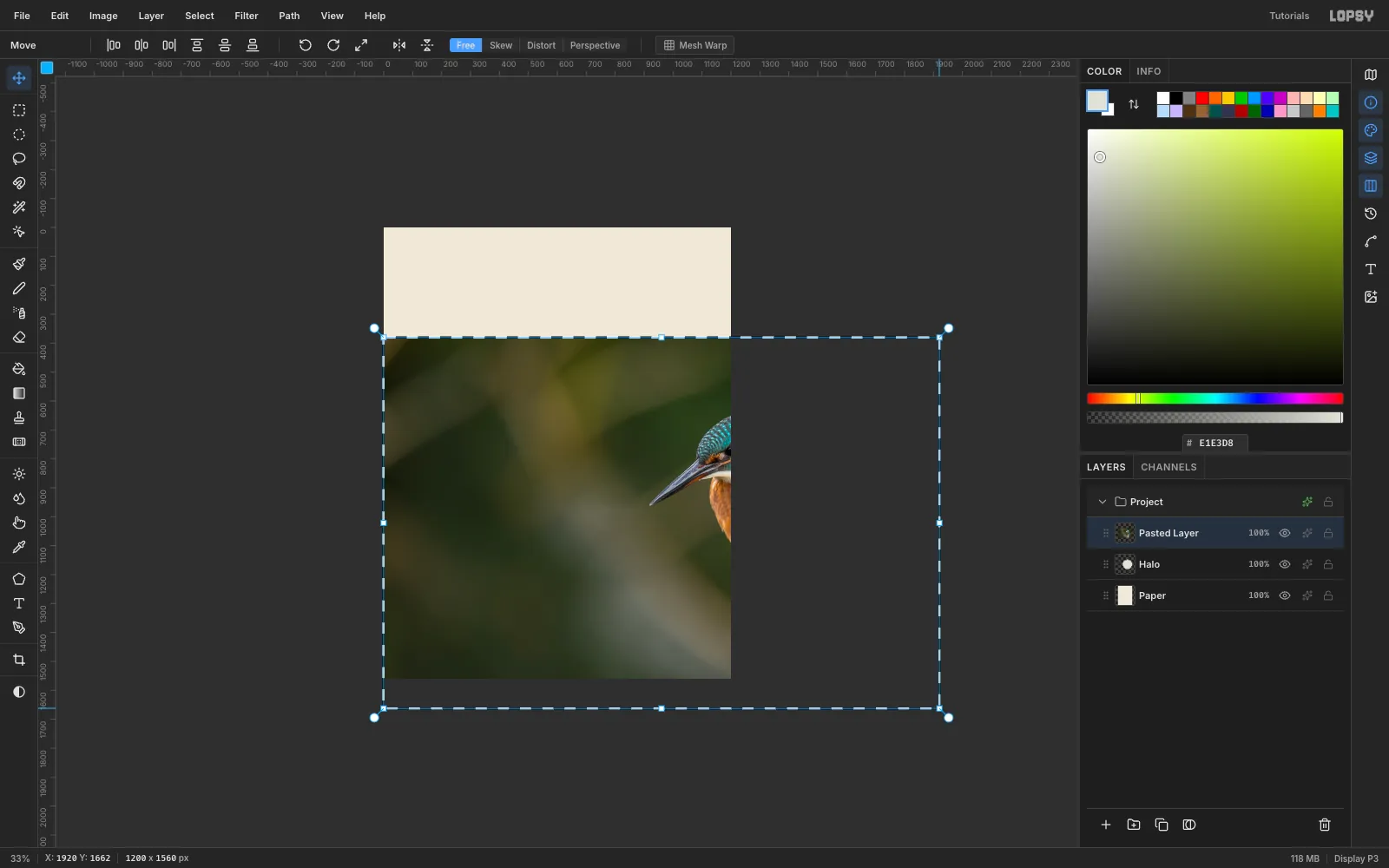 The kingfisher photo pasted across the cream canvas at 33% zoom, with its bottom-right transform handle dragged out past the canvas to twice the width