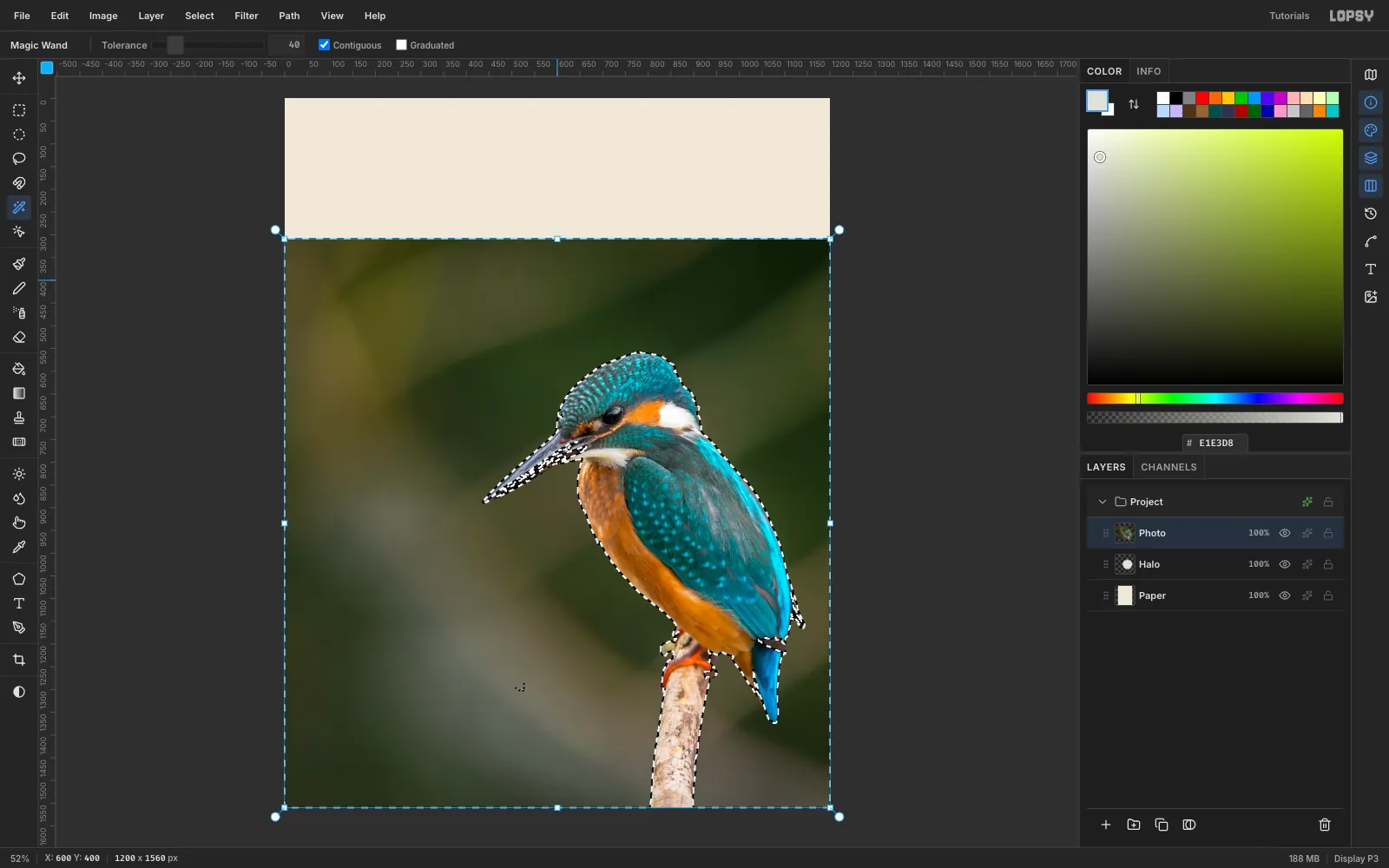 Marching ants hugging the kingfisher's outline after several Shift-clicks with the Magic Wand on the dark green bokeh background