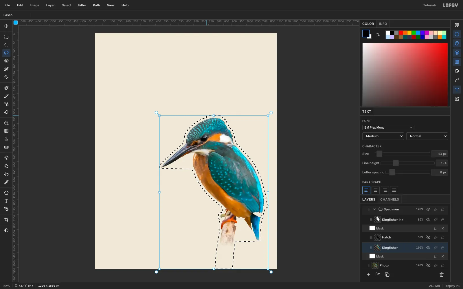 The cut-out kingfisher on cream paper with a generous lasso outline around the bird and twig, ready to invert and delete everything outside it