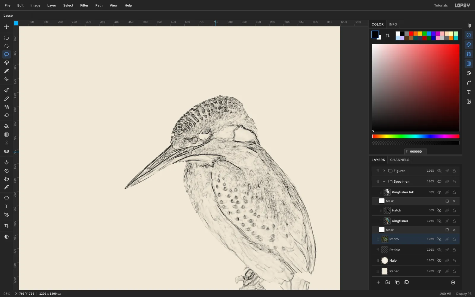 The kingfisher as a fine black pen-and-ink drawing on cream paper, with only the Kingfisher Ink layer visible
