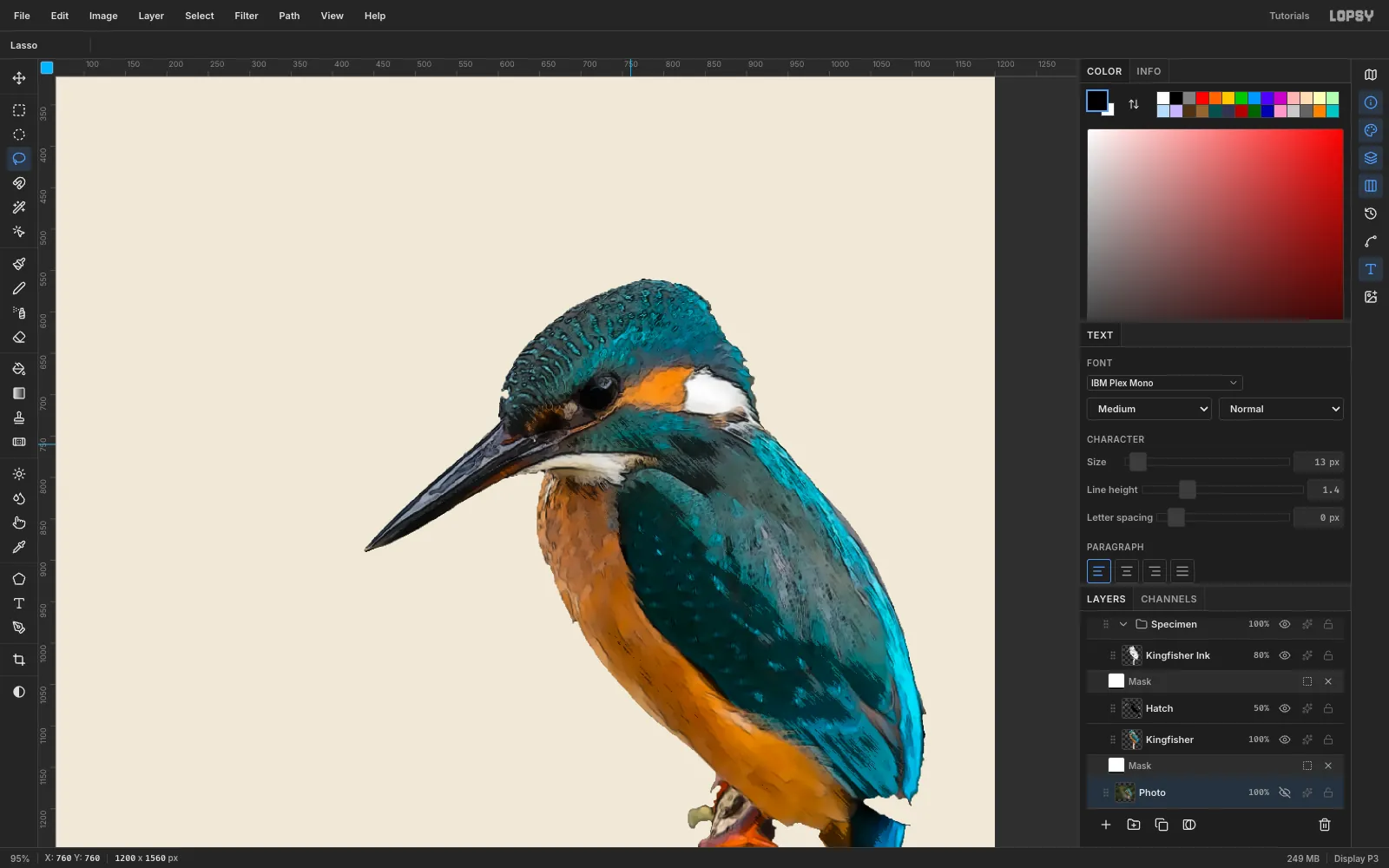 A close-up of the kingfisher's head and wing: flat watercolour-like colour areas, dark ink contours, and fine diagonal hatch strokes in the shadows