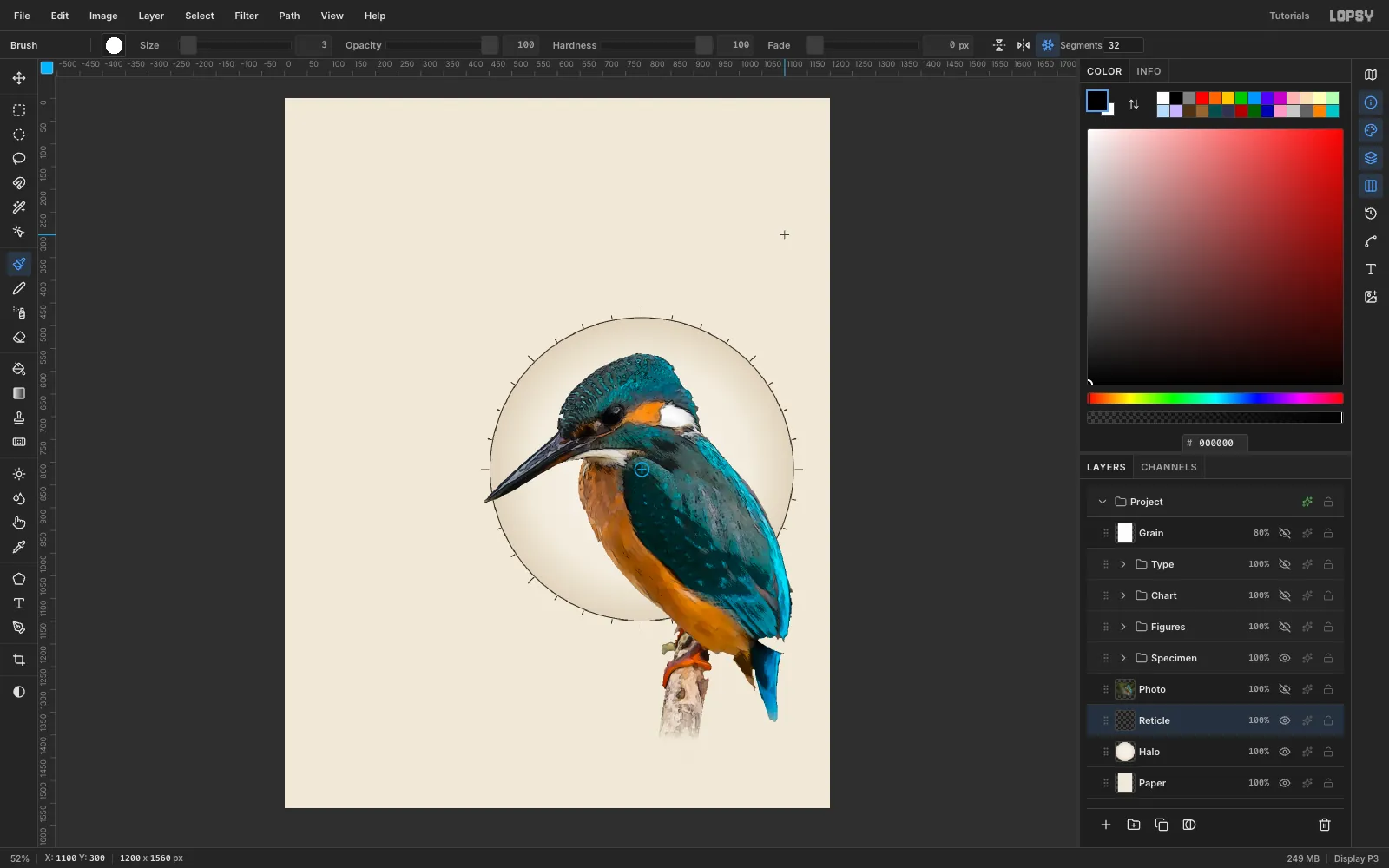 A cream disc shaded darker towards its rim behind the kingfisher, circled by 32 short and 8 long tick marks, with the radial symmetry centre marker shown on the bird