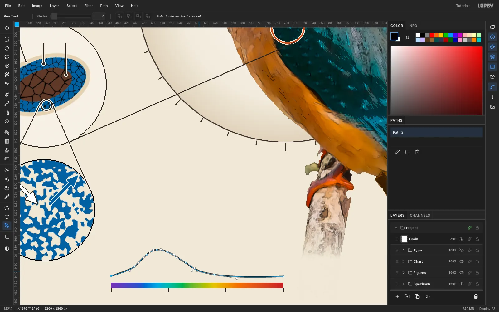 A zoomed view of the chart: a spectrum bar from violet to red with tick marks, and a Pen-tool path with Bezier handles tracing a reflectance curve that peaks over the blue