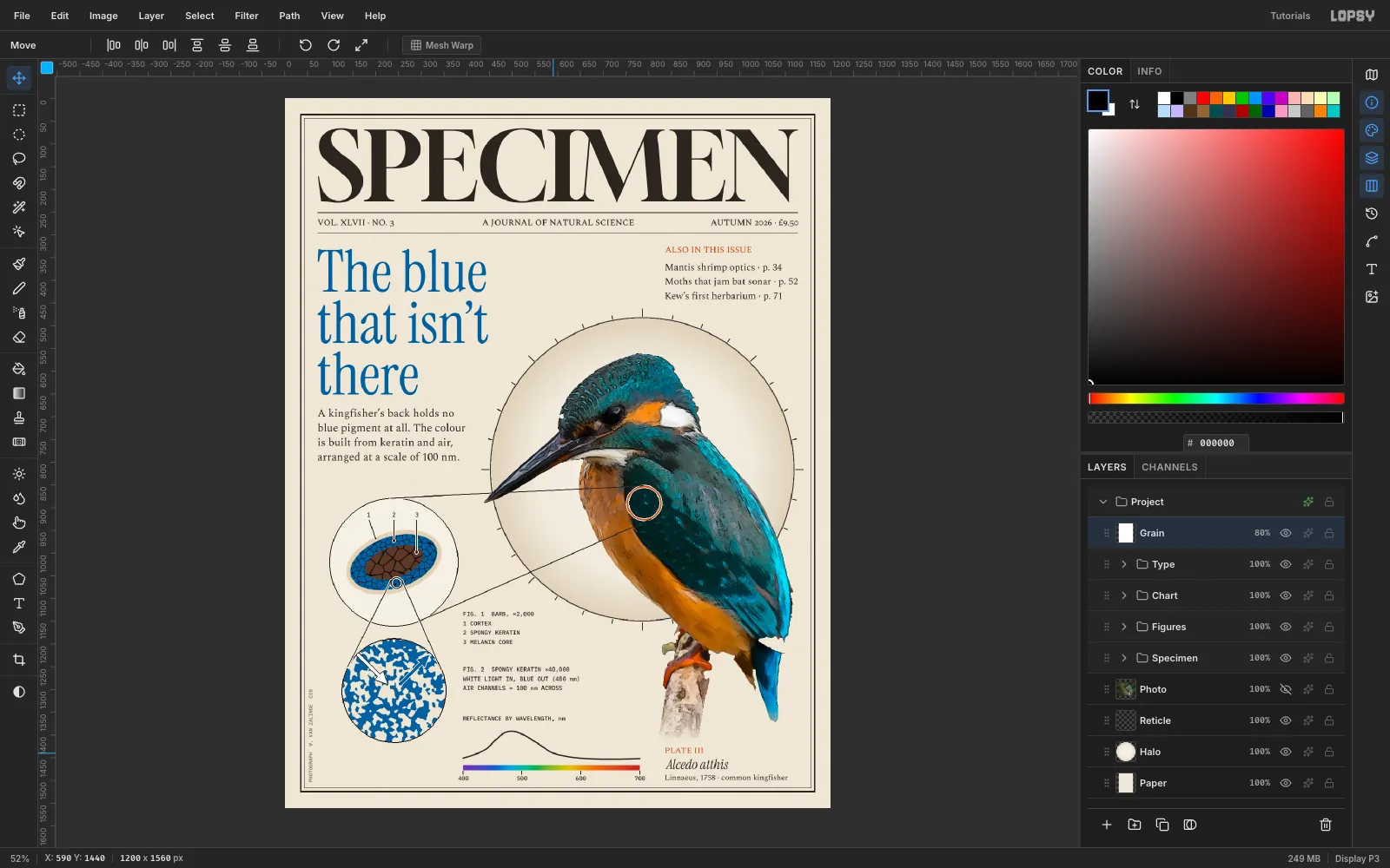 Lopsy showing the finished SPECIMEN cover at fit zoom, with a vertical photo credit in the left margin and the Grain layer at the top of the Layers panel