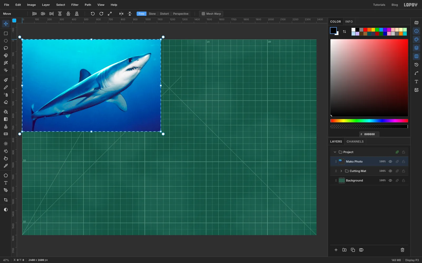 The mako photo pasted at the top left of the mat, with transform handles round it