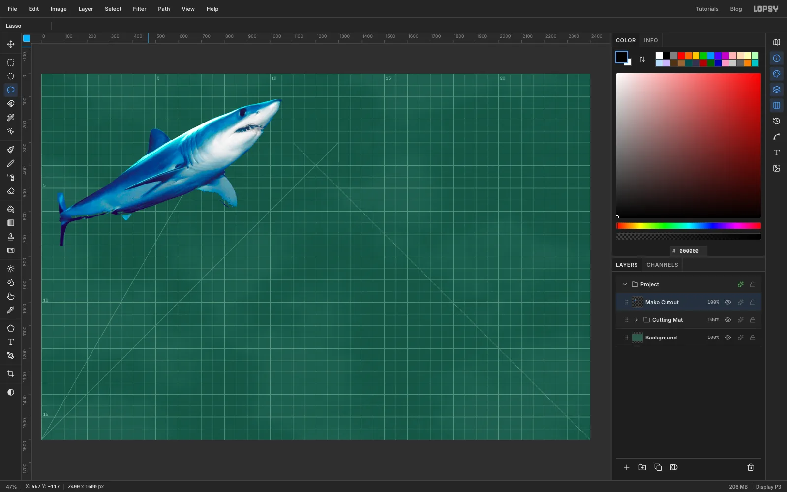 The shark cut out on its own, floating on the green mat